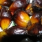 O azeite que espera.